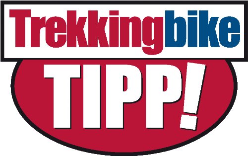 Amazon.co.jp: ABUS GRANIT-X-PLUS 54/160 HB 300 長さ300mm : 車＆バイク